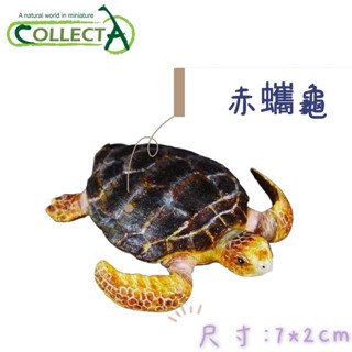 【MRW】CollectA 英國高擬真模型 赤蠵龜 海龜 模擬 擬真 海洋動物模型