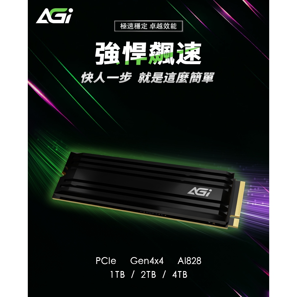AGI亞奇雷 AI828 1~4TB M.2 PCIe Gen4 SSD 固態硬碟 帶散熱片/相容PS5 PC