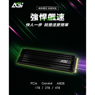AGI亞奇雷 AI828 1~4TB M.2 PCIe Gen4 SSD 固態硬碟 帶散熱片/相容PS5 PC