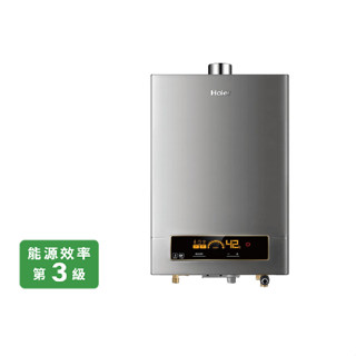 阿飛#臺中 Haier海爾 JSQ31-16NG1 DC5 16公升 熱水器 強制排氣 熱水器(含基本按裝)