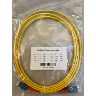 DLC-DLC SM Fiber patch cord-2M