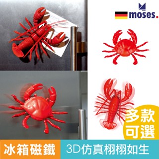 德國 Moses 冰箱磁鐵 模擬龍蝦 大閘蟹 3D模擬食物冰箱貼 冰箱貼 趣味小物 冰箱磁吸 官方旗艦
