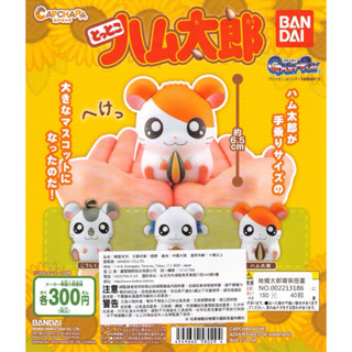 WhiteSpace㍿ ⚠現貨⚠ 扭蛋 轉蛋 BANDAI 哈姆太郎環保扭蛋 造型轉蛋 哈姆太郎 哆哆 麗麗
