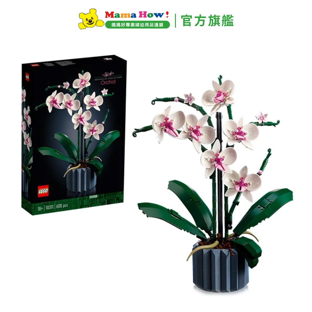 蘭花LEGO的價格推薦 - 2026年3月 | 比價比個夠BigGo