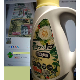 LION 獅王 香氛柔軟濃縮洗衣精-抗菌白玫瑰 850g 有效期:2027年10月 現貨
