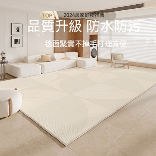 【防水防油汙🔥】水晶絨地毯 地墊 輕奢簡約地毯 客廳地毯 沙發地毯 茶几毯 臥室 家用地墊 床邊毯 毛地毯 北歐風地墊