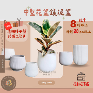 臺灣發貨/破損包賠鎂泥盆/中型花盆/森美植所/輕量水泥盆/大號花盆/盆器/盆栽/花器/開幕盆栽/送禮/居家佈置/新居落成