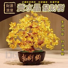 🍄孟翔萁姬🍄招財樹 黃水晶招財樹 黃水晶發財樹 搖錢樹 開運招財擺件 風水擺件 水晶樹 招財樹 搖錢樹 黃水晶 風水擺飾