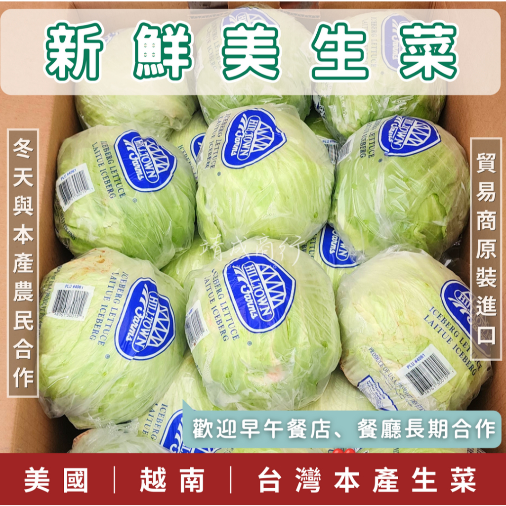 高雄店家請進【靖成商行】美生菜🥬 | 商用箱裝 | 早餐店 生菜 美生菜 台灣生菜 美國生菜 好市多