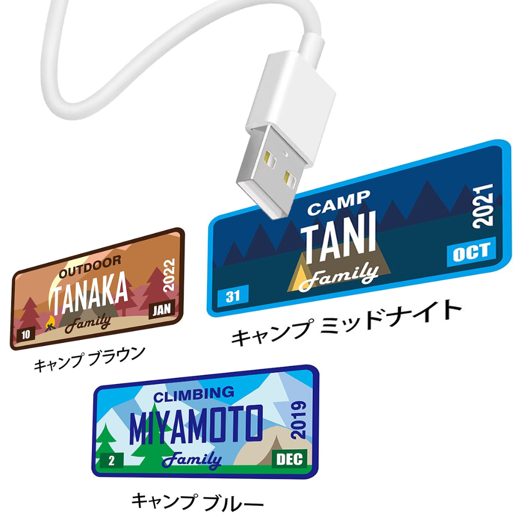 牌照燈 Xsense125 BON125 Spring125 ZAN125 LED USB 大燈 改裝 燈泡 車牌 小燈
