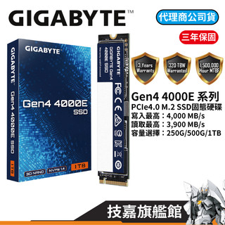 GIGABYTE技嘉 Gen4 4000E M.2 512G 1TB SSD PCIe4 固態硬碟
