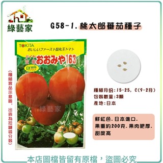 【綠藝家】G58-1.桃太郎番茄種子3顆(果肉肥厚 甜度高 蔬菜種子 果菜種子 大番茄.番茄 水果種子 番茄)