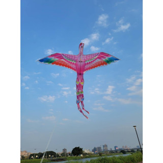 【風箏小舖】火鳥 風箏-玻璃纖維 骨架 平紋布 造型風箏