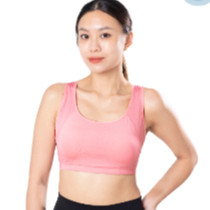 朵拉拉運動內衣 臺灣製HI Cool系列 涼感排汗機能後扣 運動內衣 抗菌除臭 大尺碼 M-EQ 台灣