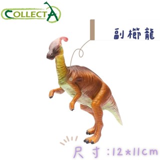 CollectA 英國高擬真模型 副櫛龍 長約19公分 模擬 侏儸紀 恐龍模型 動物模型 公仔