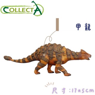 CollectA 英國高擬真模型 甲龍 長約16公分 模擬 侏儸紀 恐龍模型 動物模型 公仔