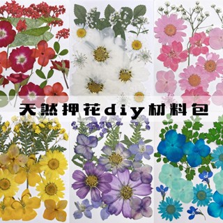 🍀臺灣現貨 天然押花DIY材料包 乾燥花壓花永生花 乾花植物標本 滴膠手機殼兒童幼兒園教學書籤貼畫DIY材料包