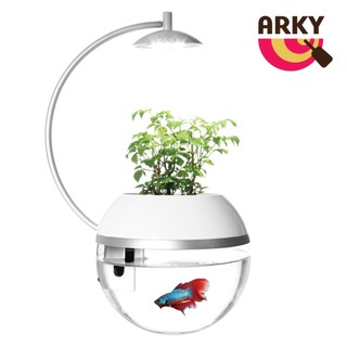 【ARKY】香草與魚Herb&Fish®Ｘ《泡泡生活》