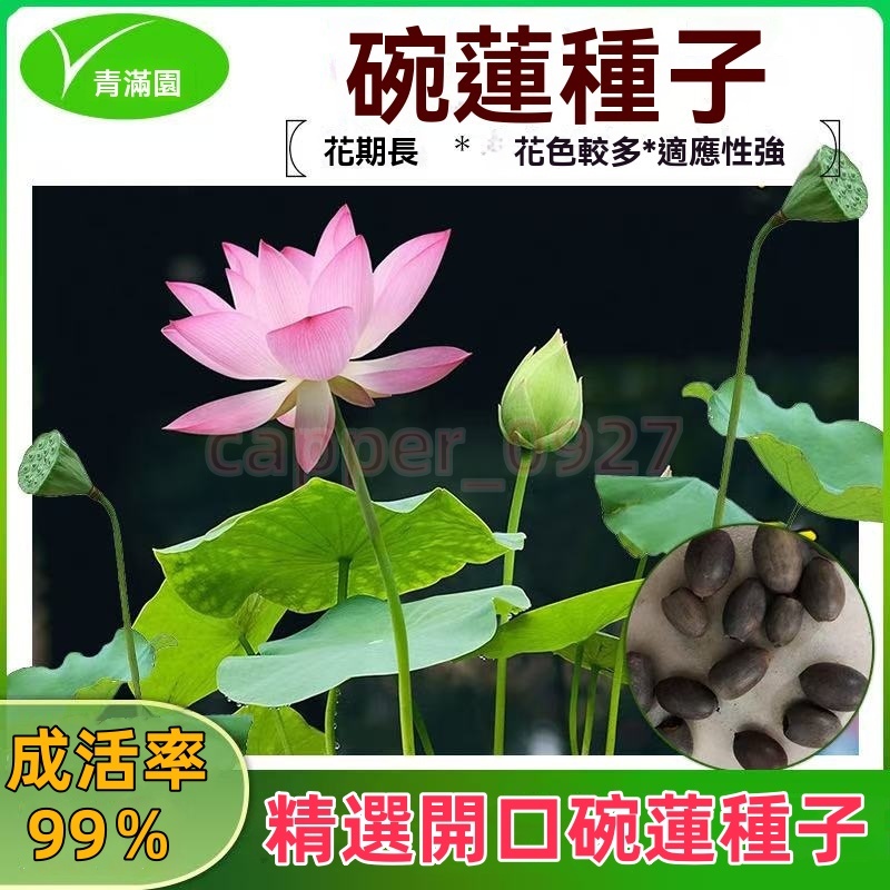 tw-11134207-7rask-m4fq9gwoihmoa5