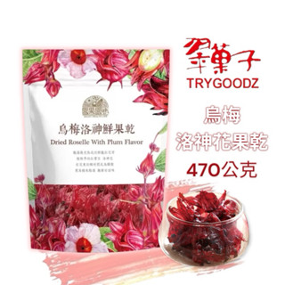 園果園味 烏梅洛神花 珍珠芭樂 愛文芒果 鮮果乾 蜜餞