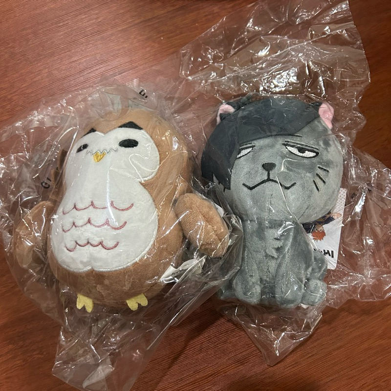 排球少年 6吋 娃娃 玩偶 赤葦 黑尾 黑尾鐵朗 赤葦京治 貓頭鷹 貓 音駒 梟谷