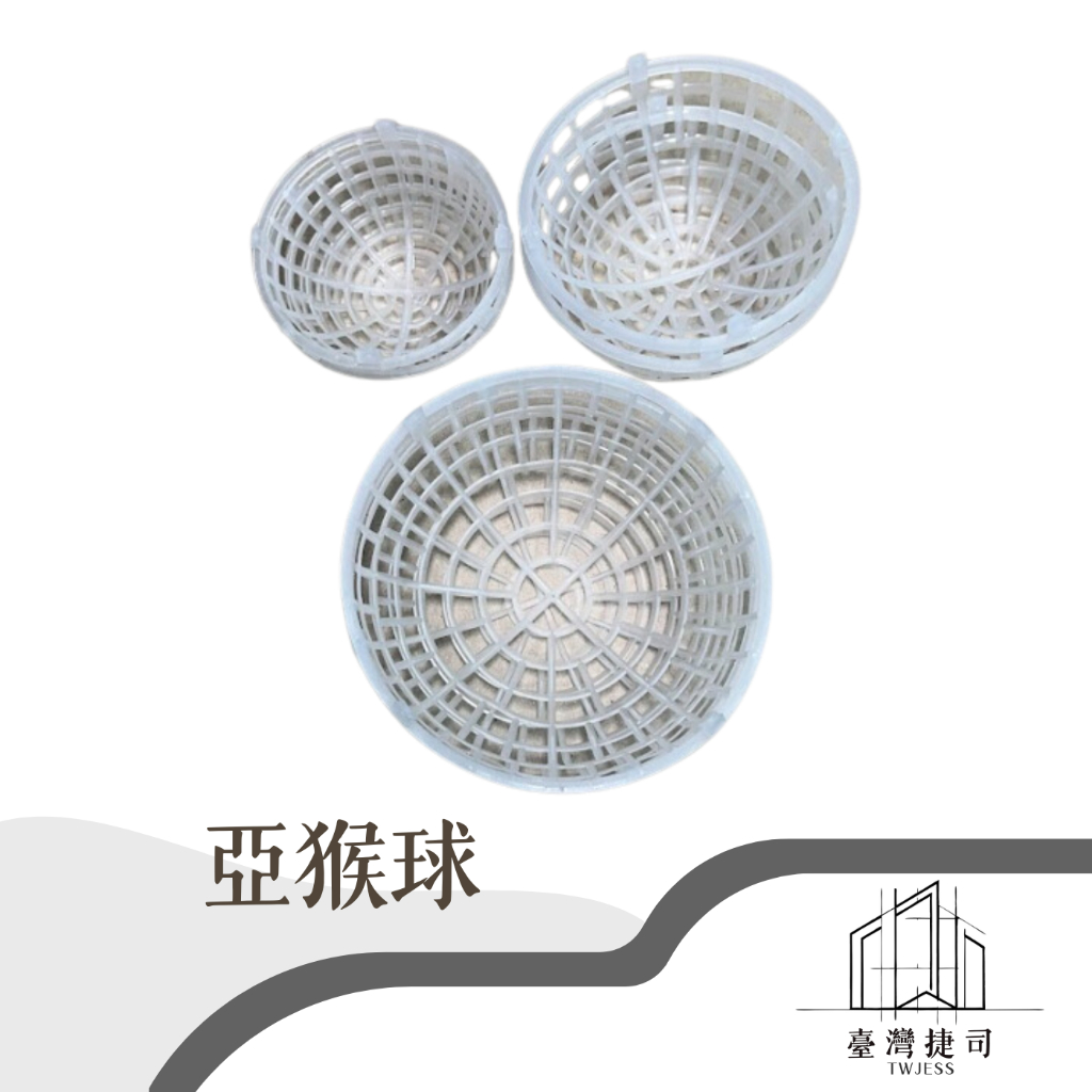 亞猴球 水苔球 鹿角蕨上板利器 鹿角蕨球 亞猴球 ◭臺灣捷司◮