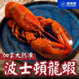 【凍凍鮮】加拿大熟凍波士頓龍蝦 400g｜急速鮮凍保留天然海味，肉質飽滿Ｑ彈，蝦螯肥美