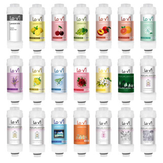 現貨‼️韓國 LAVI 香薰維他命過濾器 花灑過濾器 美膚 香薰沐浴過濾器 除氯 淨化水質 蓮蓬頭