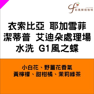 衣索比亞 耶加雪菲 潔蒂普 艾迪朵處理場 水洗 G1風之蝶【一磅】【彩鳳鮮焙咖啡】