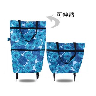 臺灣現貨（隔日出貨）【精靈工廠】 輕巧型兩用購物袋 買菜購物袋車 拖輪購物車 手推車 手拉車摺疊可揹式拖輪購物車袋