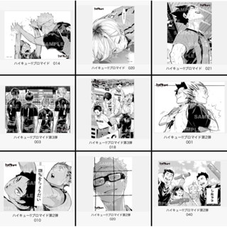 全新 排球少年 日本官方 JS相卡 原畫相卡 JUMP SHOP 相卡 日向 影山 月島 山口 菅原 大地 黑尾 研磨
