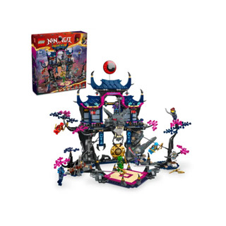 玩具研究中心 現貨 樂高 LEGO 旋風忍者系列 狼族面具黑影道場71813