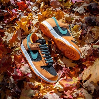 【Focus Store】 Nike Dunk Low SP "Ceramic" 黑橘色 DA1469-001