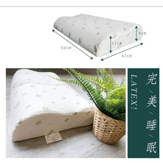 【南部孩子】奧斯汀寢飾 正品 乳膠枕 /PA211人體工學曲線乳膠枕 枕頭 床頭枕 抱枕 靠枕 沙發靠枕 沙發抱枕 宿舍