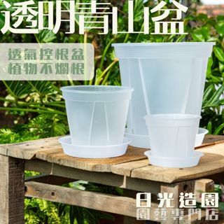 【日光造園】透明青山盆贈水盤 控根盆 青山盆 透明花盆 根系觀察 觀葉植物 雨林植物 室內植物 龜背芋 花盆 透明盆