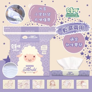 韓國 順順兒 索美樂 高階乾濕兩用柔巾 160抽 柔絲巾 乾濕兩用 寶寶 可當化妝棉