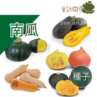 【全館590免運】南瓜種子 椪柑南瓜 迷你胭脂紅南瓜 栗子南瓜 西洋南瓜 西洋南瓜 奶油南瓜 木瓜型南瓜 南瓜 金瓜