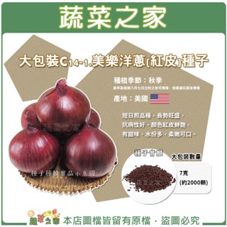 【蔬菜之家滿額免運】大包裝.美樂洋蔥(紅皮)種子7克(約2000顆) (有藥劑)短日照品種，長勢旺盛，抗病性好