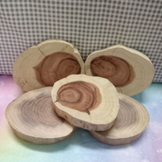 天然原木片 原木木片 木片 現貨