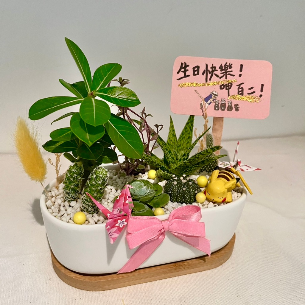 皮卡丘 寶可夢 開幕送禮 多肉組盆 多肉植物 創意盆栽 盆栽送禮 微景觀 景觀盆栽 慶祝 晉升 禮品 客製化訂單