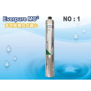 【龍門淨水】Everpure.MC2濾心.淨水器.濾水器.過濾器(貨號1)