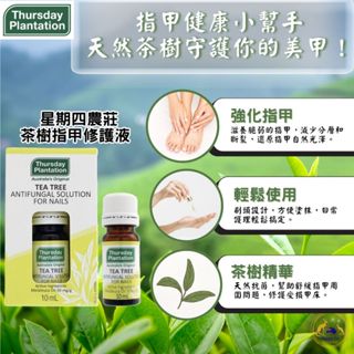 🔥熱銷🔥 澳洲 星期四農莊 茶樹指甲修護液 10ml | 指甲護理 茶樹修護液 日常護理 自然抗菌 修護指緣