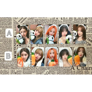 (G)I-DLE 小卡 特典 迷7 I sway MS7.0 紅蘿蔔 熊貓 舒華 雨琦 米妮 薇娟 小娟