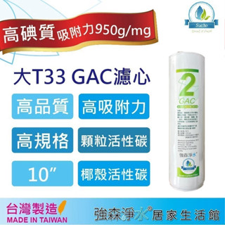 【強森淨水】10英吋 GAC 大T33 高品質 椰殼顆粒活性碳濾心 NSF RO純水機 淨水器 (前置濾心) 臺灣製