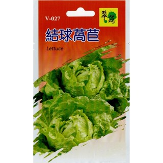 愛上種子 結球萵苣種子【蔬果種子】俗稱包心萵苣 美生菜 翠筠牌 每包約200粒 無藥劑處理