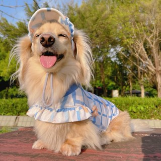 韓國munikund 寵物防蟲涼感衣服 寵物衣服 背心 狗狗衣服 防蚊