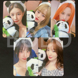 （G)I-DLE MS7.0官方特典 熊貓薇娟米妮minnie小娟雨琦舒華小卡 迷你七輯”I SAWY”