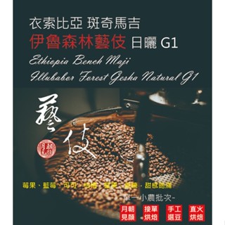 衣索比亞.斑奇馬吉.伊魯森林藝伎 日曬 G1 單一小農批次淺中烘焙咖啡豆/月見朝顏咖啡烘焙