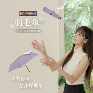 ☔️雨傘王 新竹光復店☔️ 《BigPurple 大紫21吋手開羽毛傘》新色登場輕量傘 手開傘 好開收 出國必備
