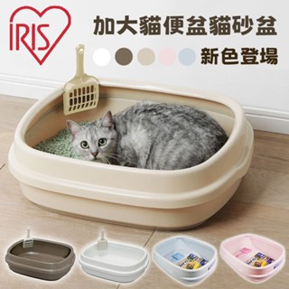 【IRIS】經典 開放式 加大貓便盆 貓砂盆 茶/青/桃/棕/白 IR-NE-550